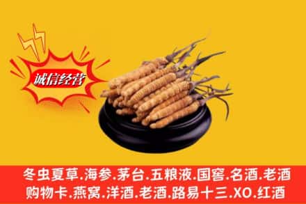 中山南朗镇求购回收虫草多少钱每克